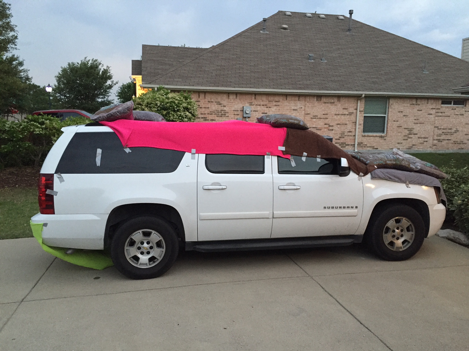 My neighbors are ready for any hail.