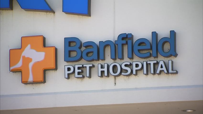 Banfield Pet Hospital Near Me Phone Number