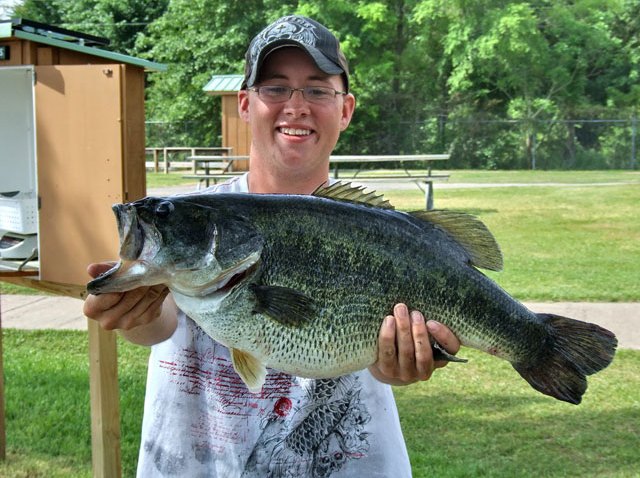 bass