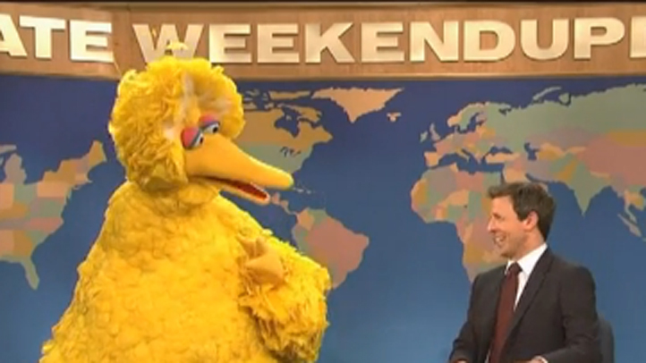 big bird