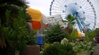 big-tex-urban-farms
