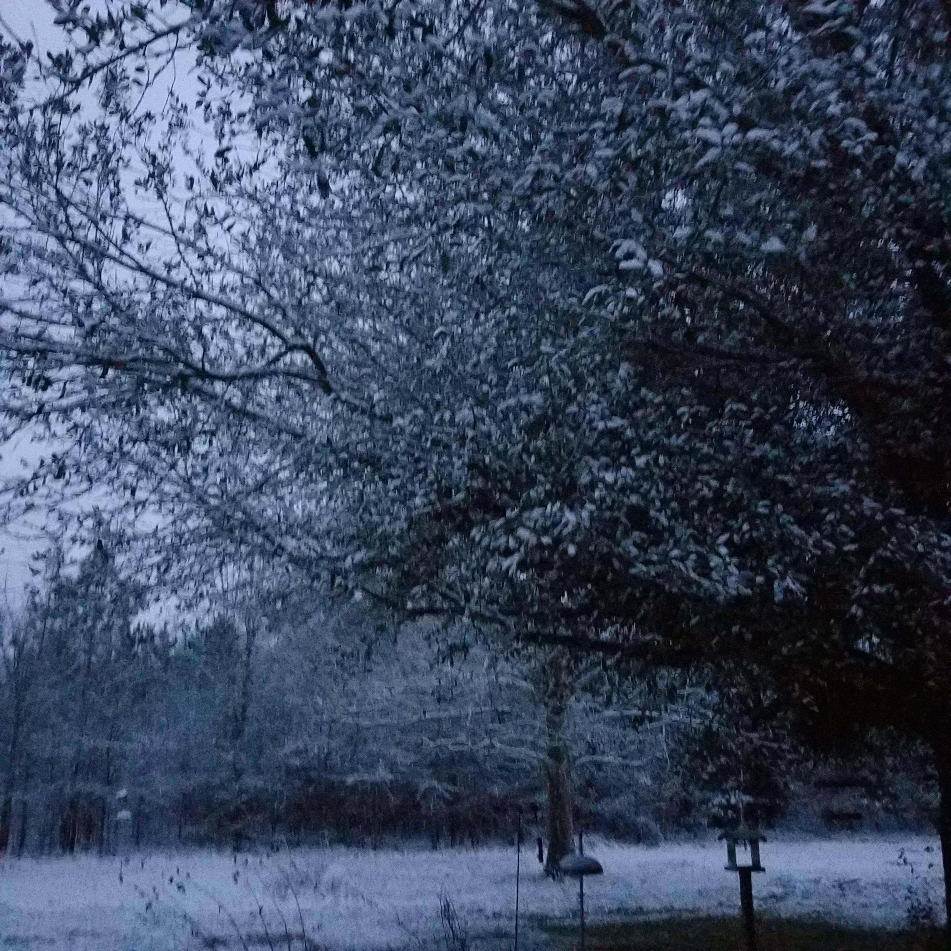 Canton Snow fall!