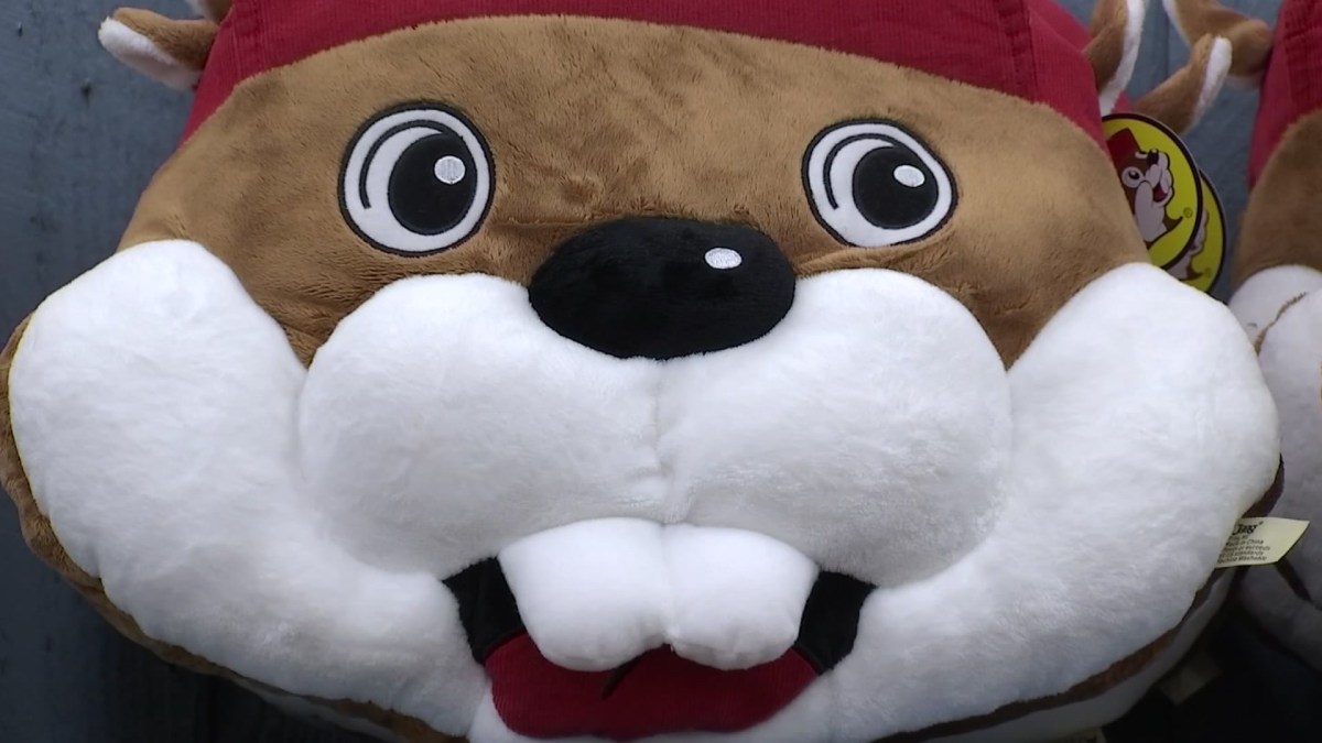 buc ee's beaver plush