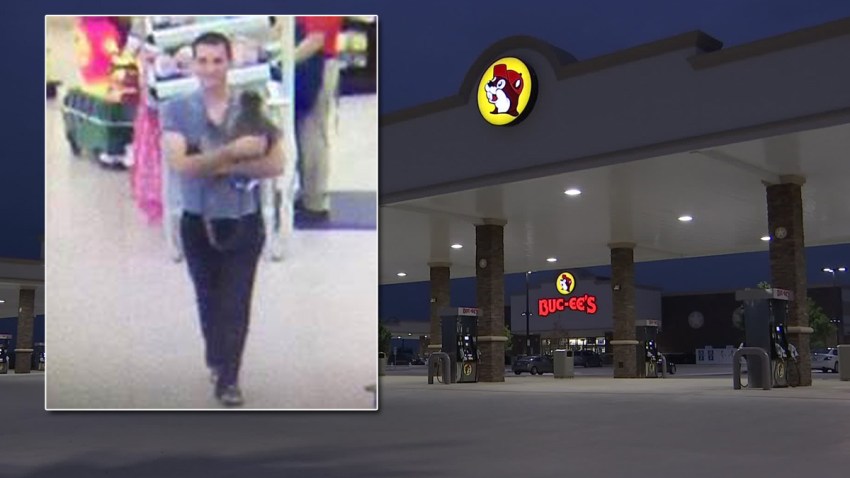bucees monkey