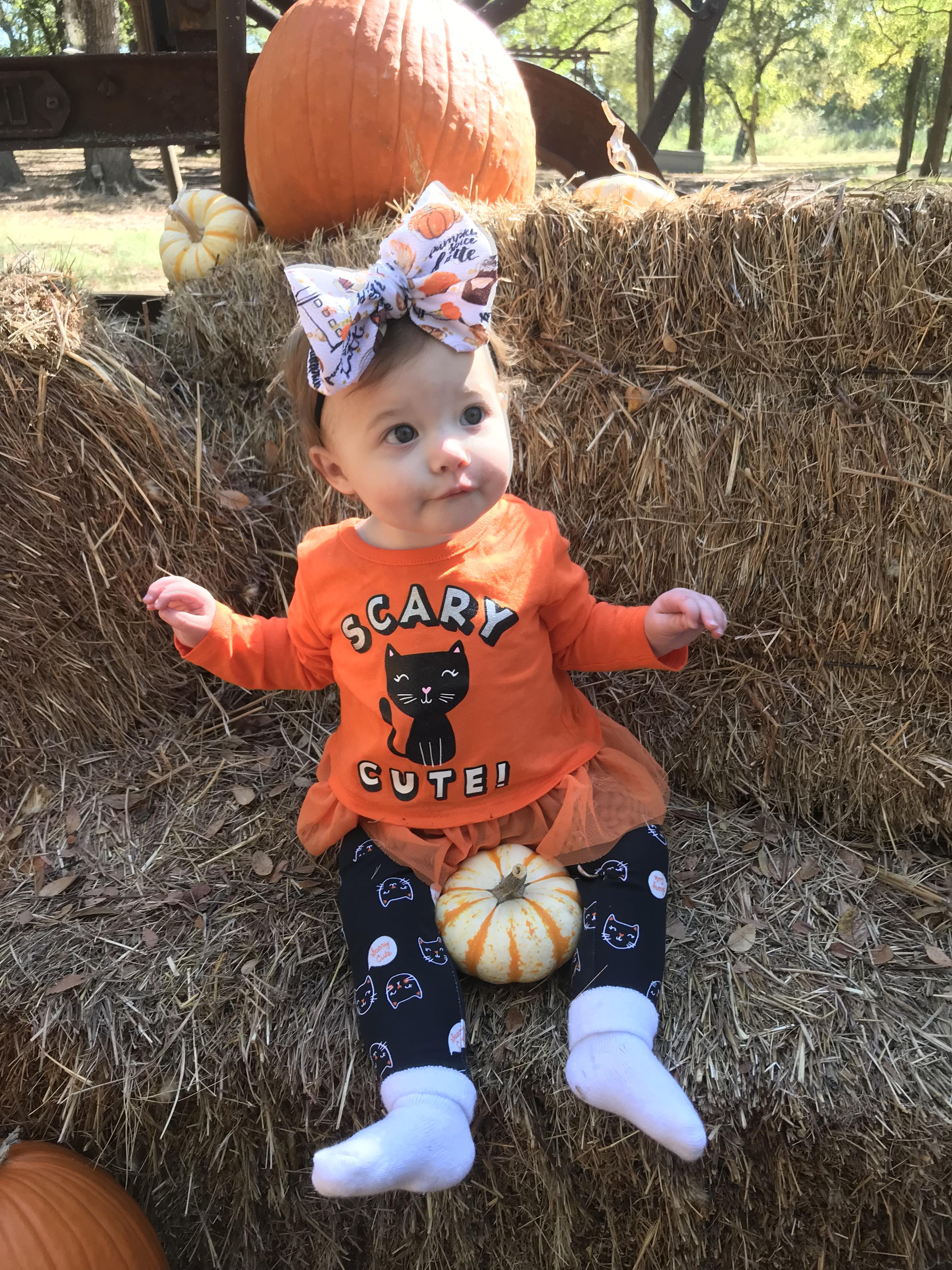 Your Fall Photos 2019 Nbc 5 Dallas Fort Worth