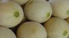 Thousands of cantaloupes recalled due to possible salmonella contamination