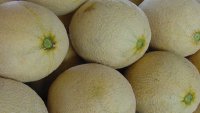 Thousands of cantaloupes recalled due to possible salmonella contamination