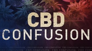 cbd-confusion-2