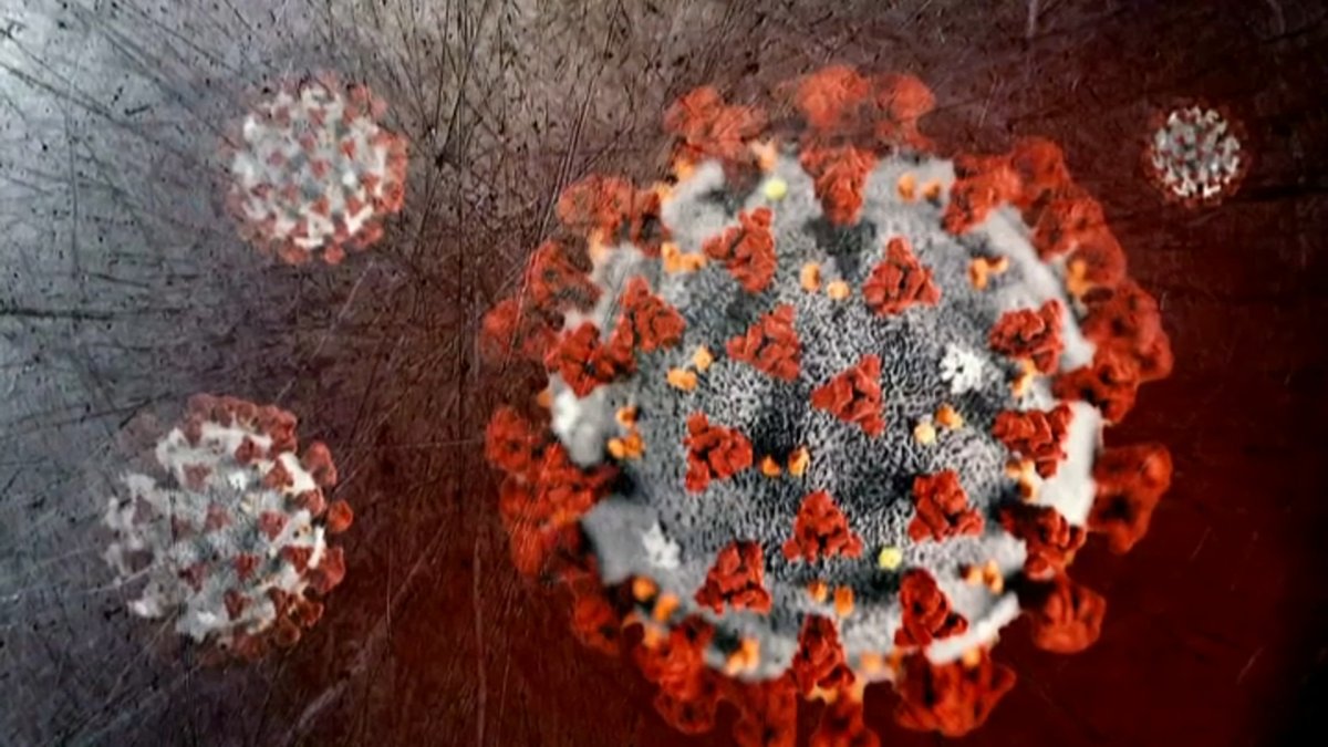 Everything to Know About Coronavirus in North Texas NBC 5 DallasFort