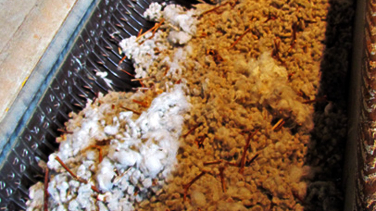 Texas Cotton Gin Still Working After 100 Years NBC 5 DallasFort Worth