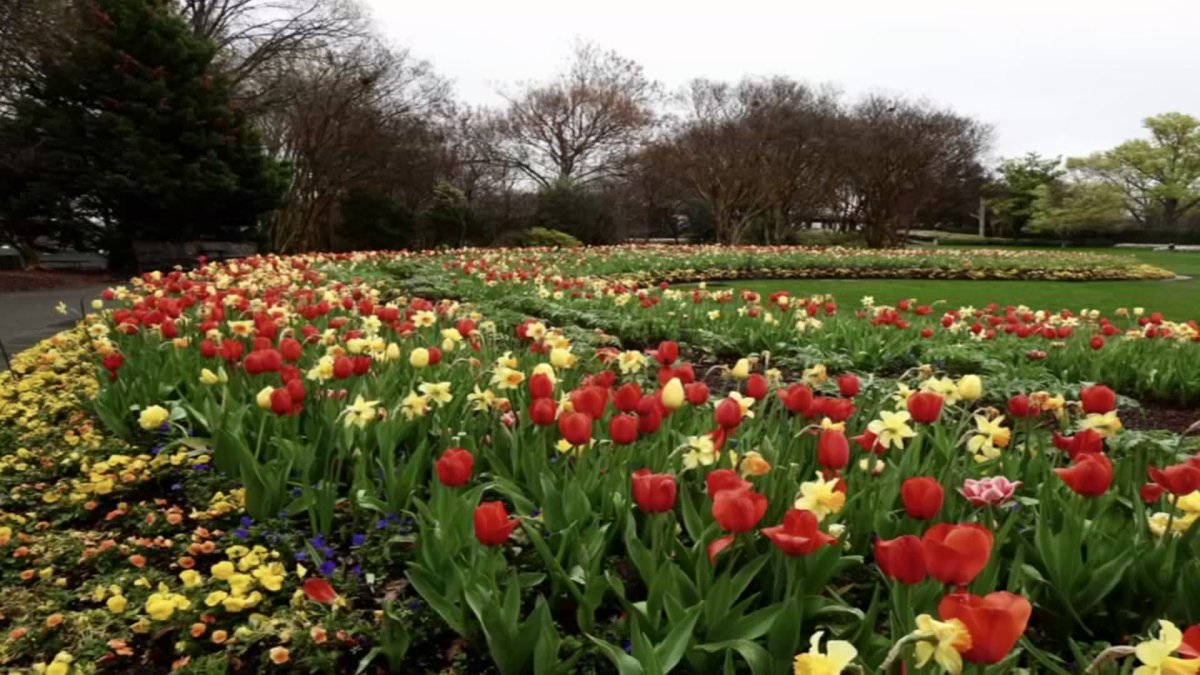 are dogs allowed at the dallas arboretum