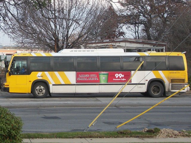 dart-bus