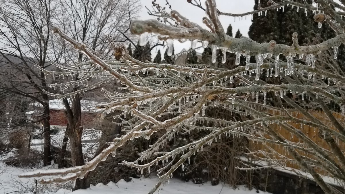 How Much Sleet, Snow is Expected Near You? - Vimarsana News