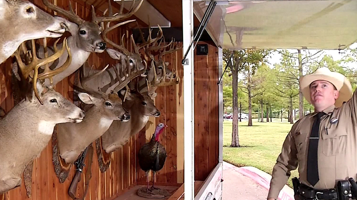 Texas Game Wardens Devoting More Time to Poachers NBC 5 DallasFort Worth