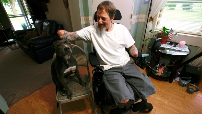 Dog Lick Amputation