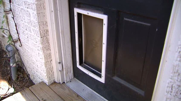 Burglar Uses Doggie Door To Break In Nbc 5 Dallas Fort Worth