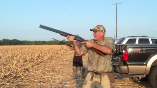 dove hunting