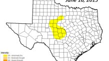 drought-monitor-texas-061615