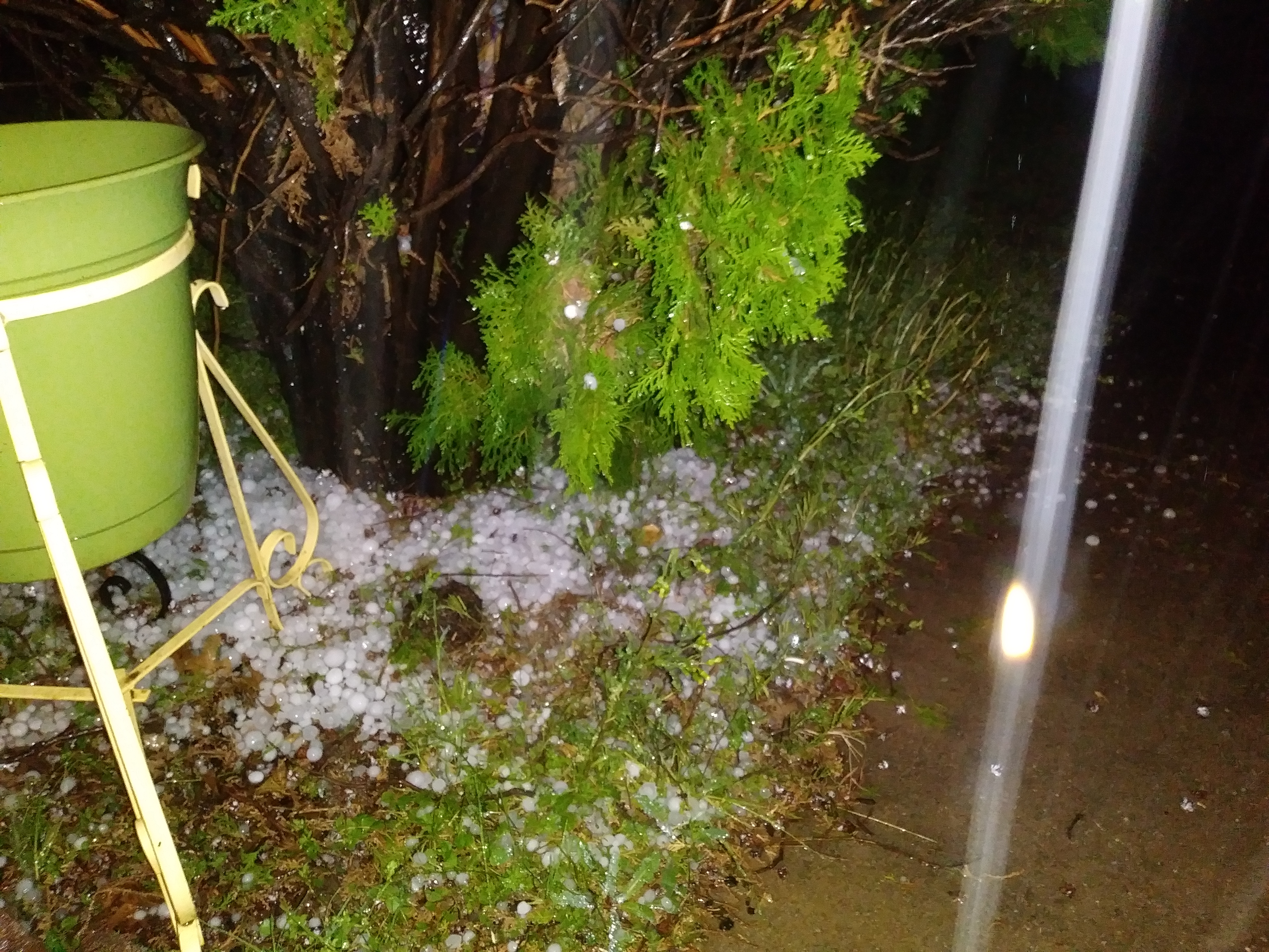 my poor tree Hail in Tarrant county (Watauga)