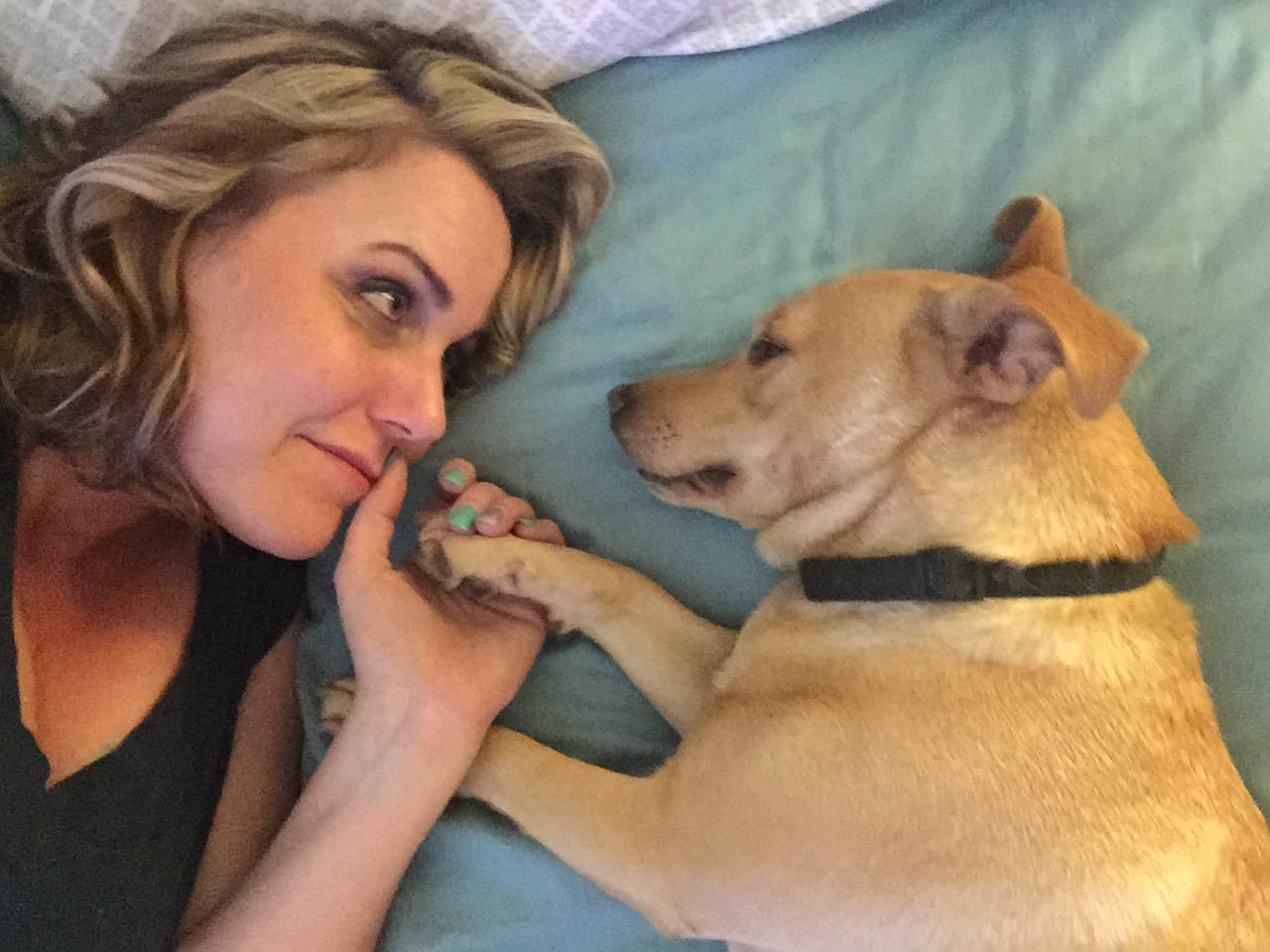 Your Shelter Pets 2015 Nbc 5 Dallas Fort Worth