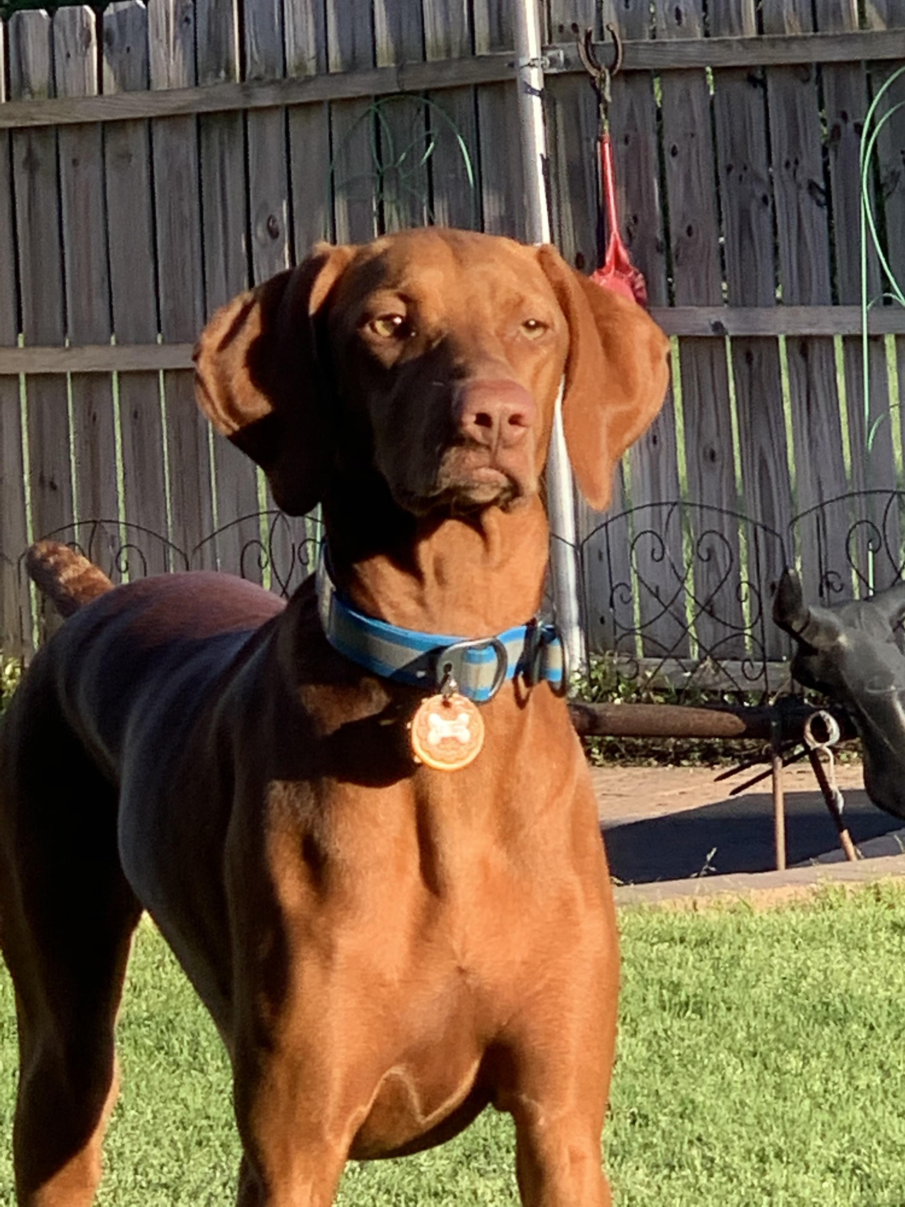 Download Ibly2zjtgbdbam Free Get Wallpaper Ibly2zjtgbdbam Desktop Wallpaper