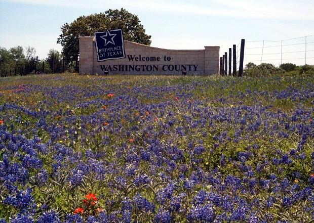 Sitting Pretty Even More Bluebonnet Viewer Photos Nbc 5 Dallas