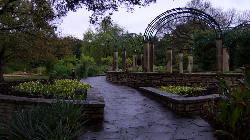 City Council Approves Entrance Fees For Fort Worth Botanic Garden