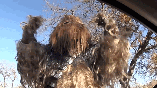 fwpdchewbacca