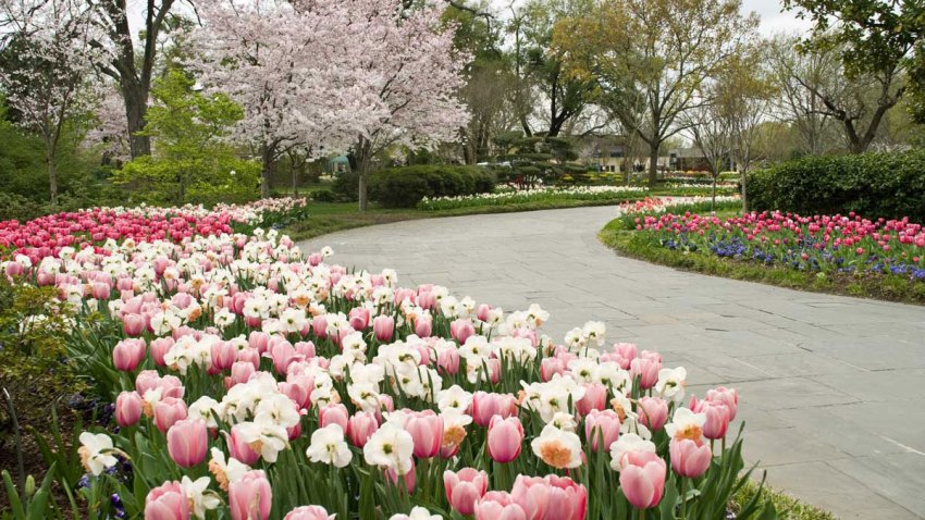 gardens