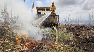 Florida Division of Forestry fire fighter, Tim Abramczyk, sprays foam on a hotspot that flared up as he works on containing a 50,316-acre brush fire on June 10, 2011 in West Dade, Florida.