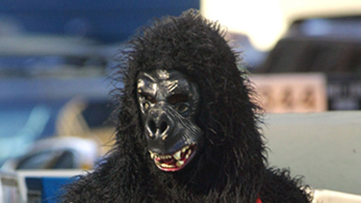 gorilla-costume-070612