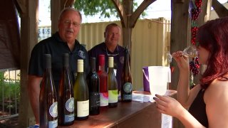 grapefest