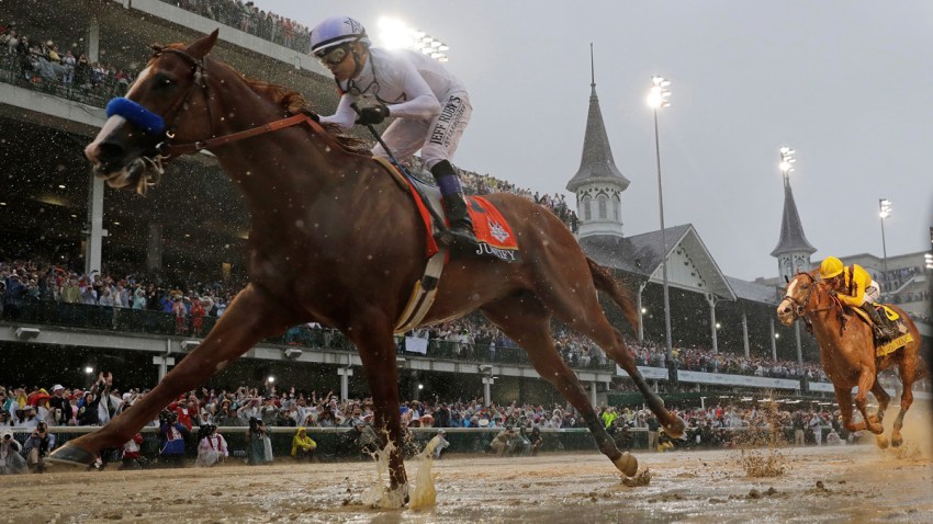 Horse Racing Medication