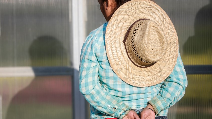 Immigration Employer Sting