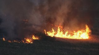 incendio_wetlands_park