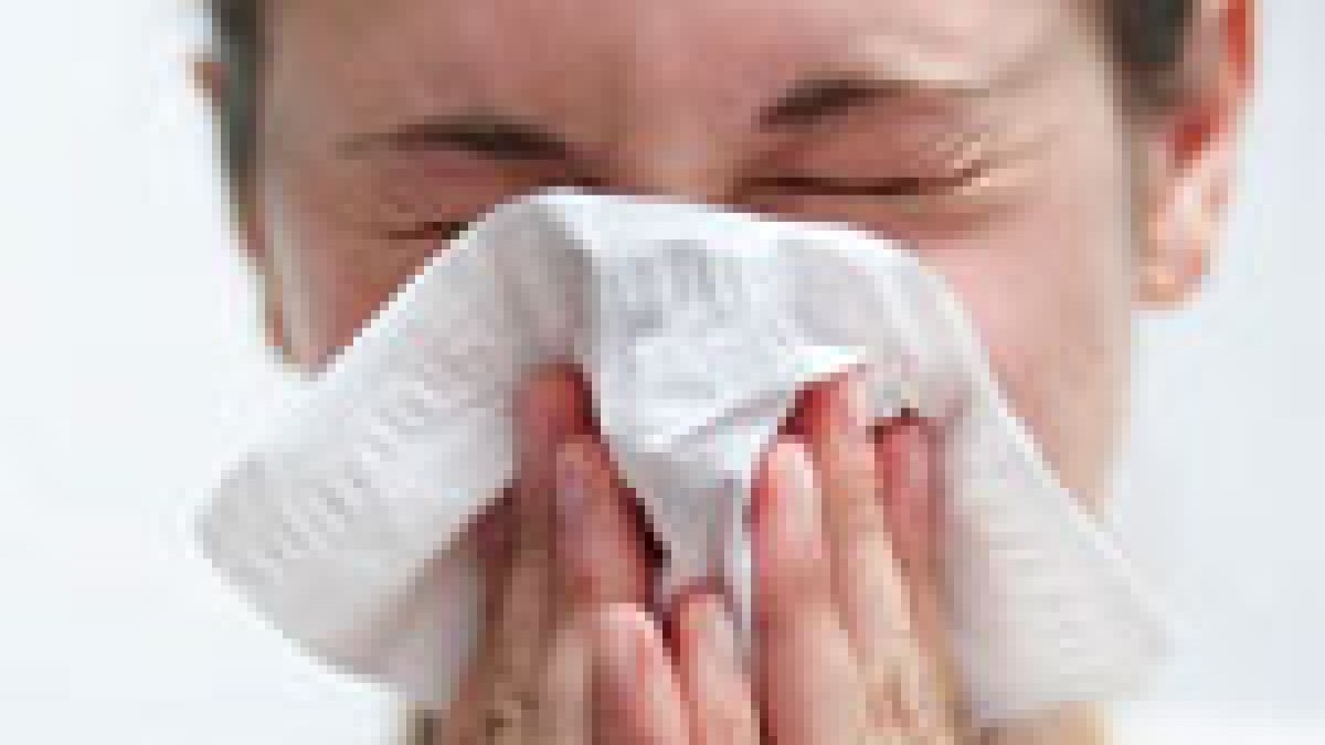 How Weather Impacts Pollen Levels and Your Allergies NBC 5 Dallas