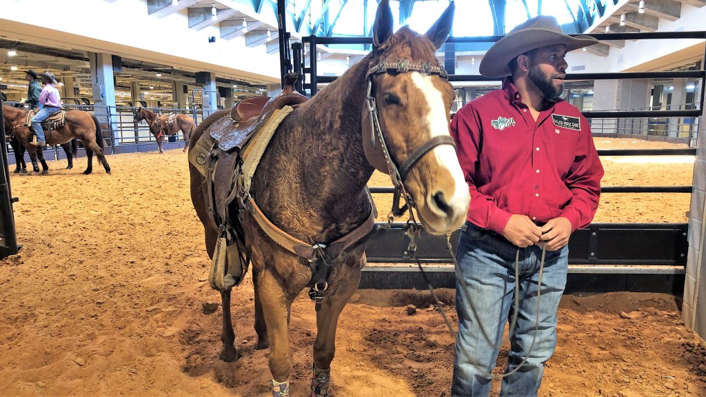 Cowboys of Color Rodeo Displays Diversity Among Riders – NBC 5 Dallas ...