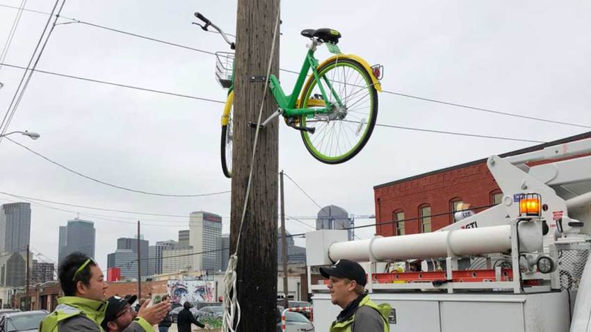 limebike-twitter-pole-dallas-deep-ellum