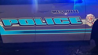 mesquite-police-generic