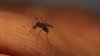 Second death, four new cases mark growing concern for West Nile virus in Denton County