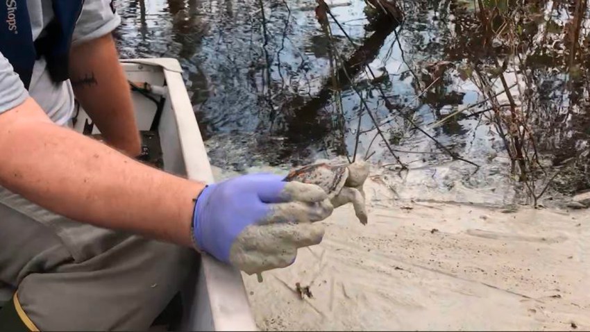 Tropical Weather-Toxic Sites