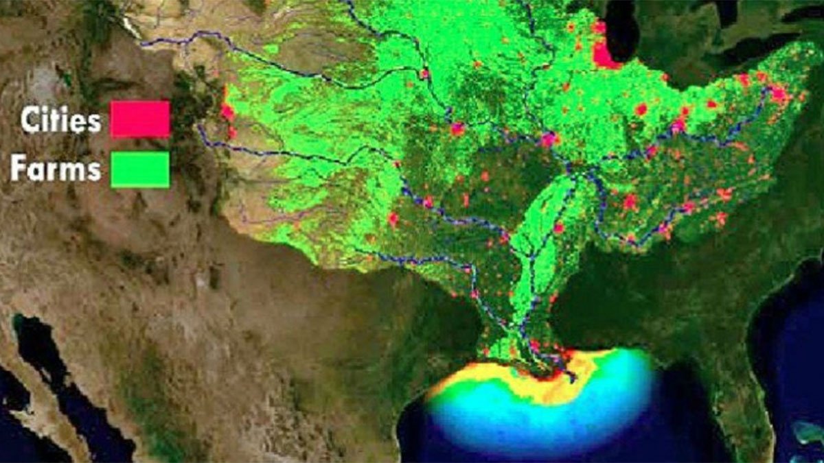Gulf's 'dead zone' forecast to be smaller than average, but still twice reduction goal – NBC 5 Dallas-Fort Worth - Vimarsana News