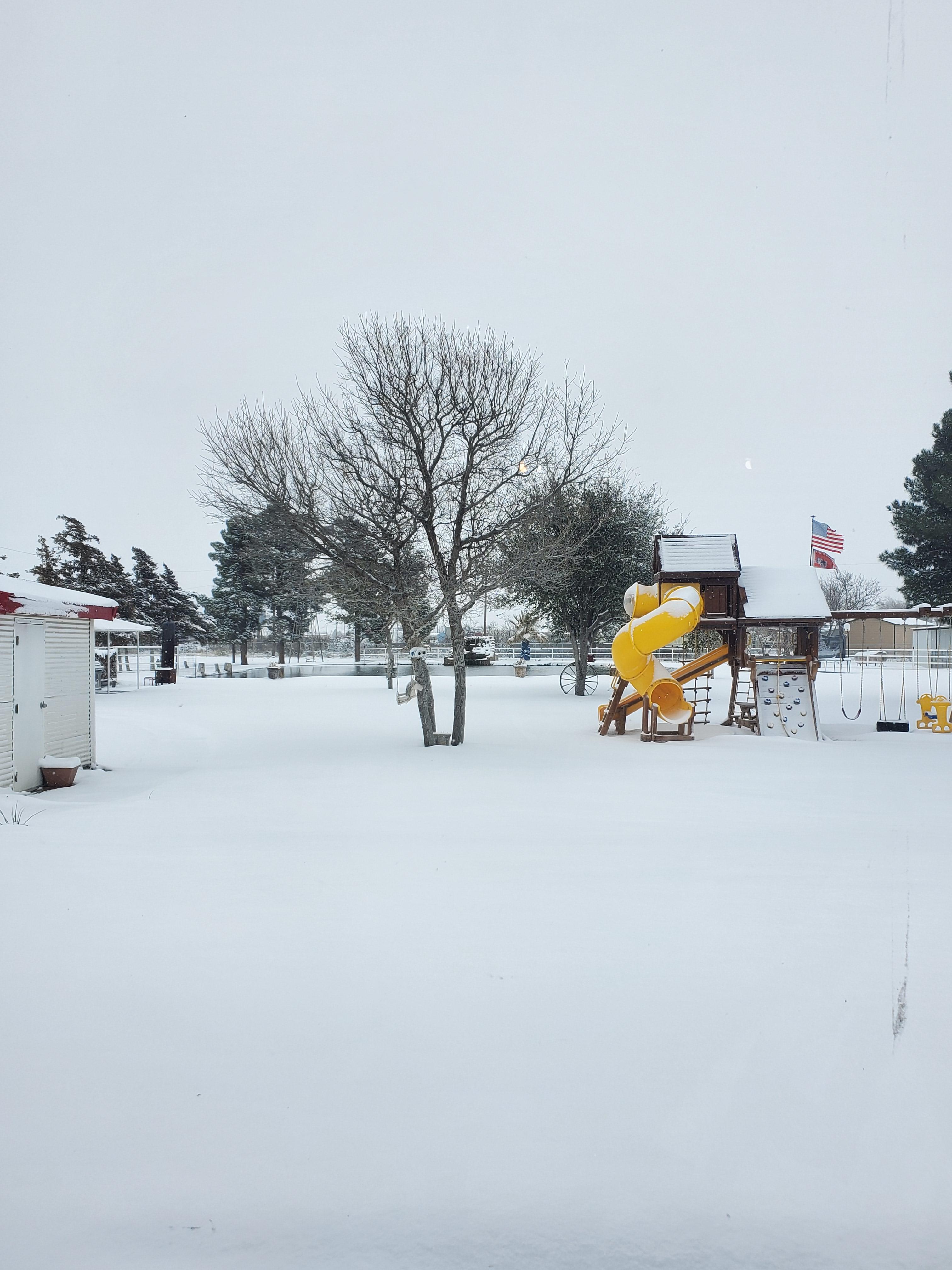west Odessa backyard