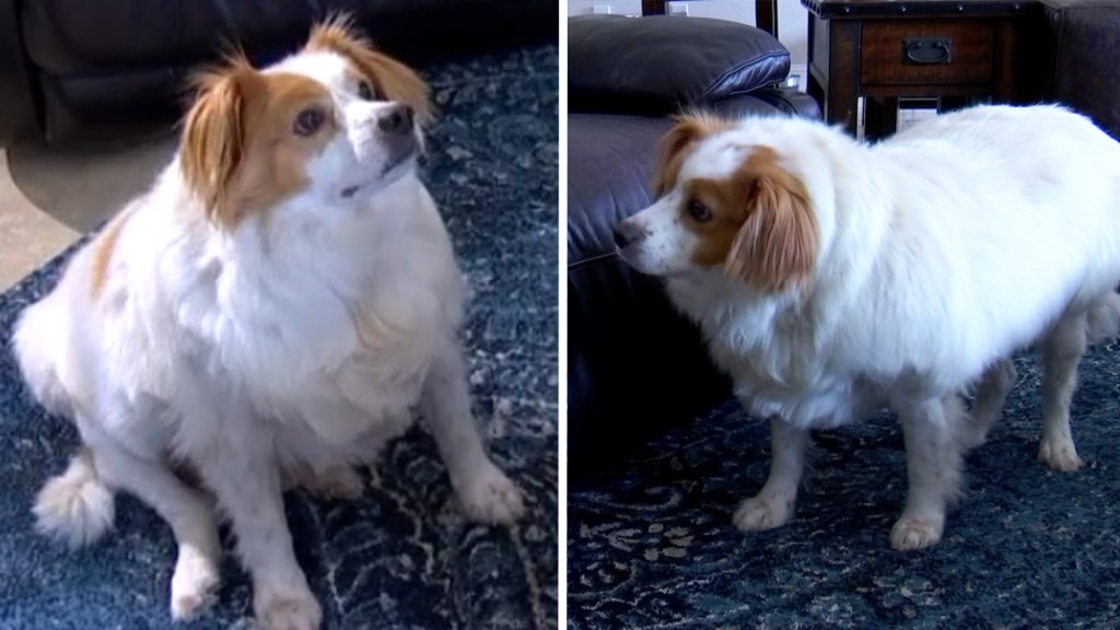 Https Www Nbcdfw Com Video Weather Nbc 5 Forecast Sunny Hot