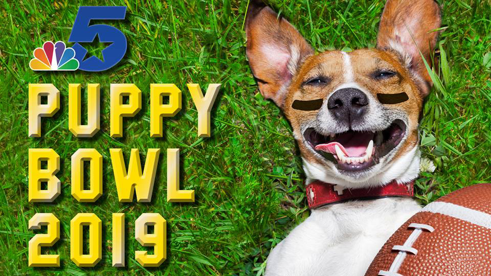 Https Www Nbcdfw Com News National International Late Night