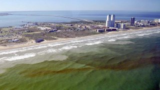 red_tide_spi_3632--chase_a._fountain