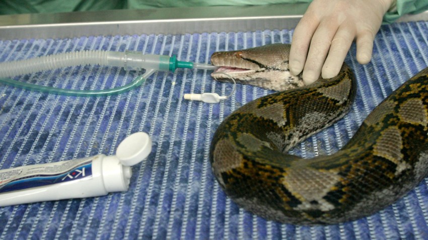 SINGAPORE WILDLIFE CENTER