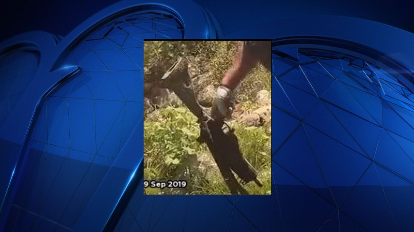 rifle found in Lake Arlington