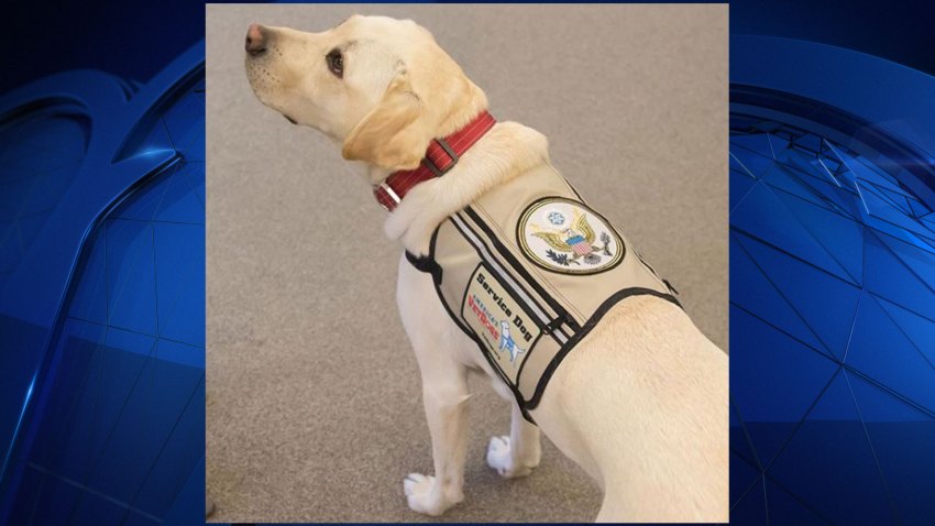 Sully W. Bush gets new patch