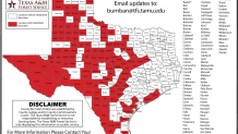 texas-burn-pans